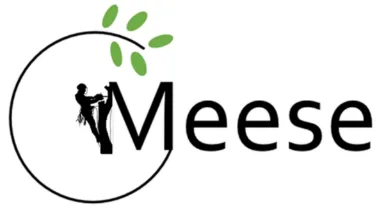 Joran Meese